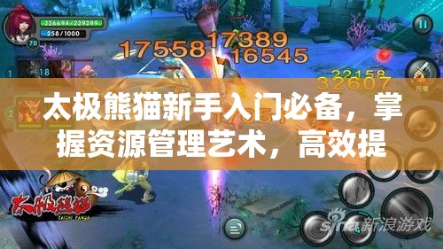 太极熊猫新手入门必备，掌握资源管理艺术，高效提升游戏实力
