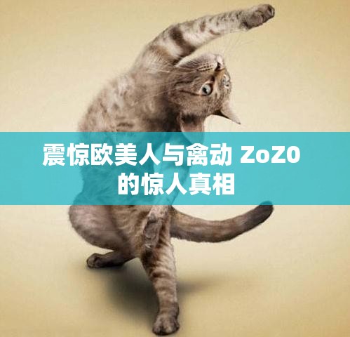 震惊欧美人与禽动 ZoZ0 的惊人真相