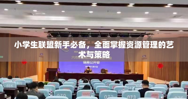 小学生联盟新手必备，全面掌握资源管理的艺术与策略