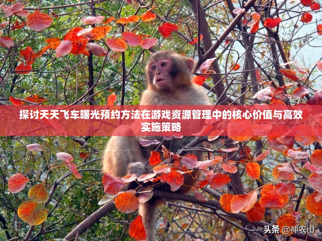探讨天天飞车曙光预约方法在游戏资源管理中的核心价值与高效实施策略