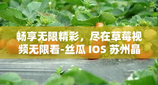畅享无限精彩，尽在草莓视频无限看-丝瓜 IOS 苏州晶体
