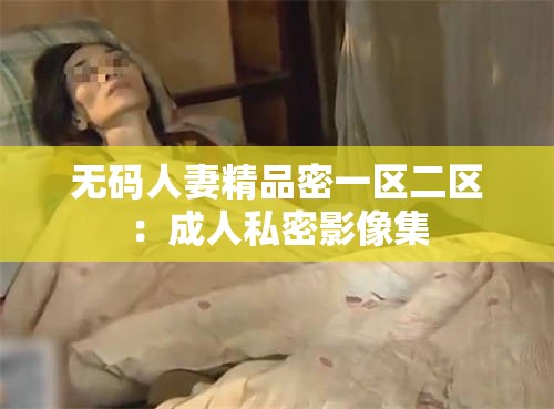 无码人妻精品密一区二区：成人私密影像集