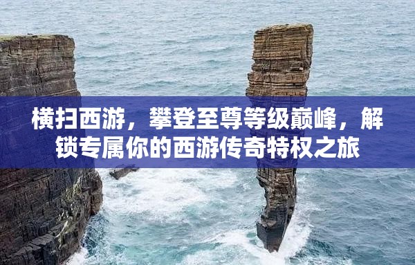 横扫西游，攀登至尊等级巅峰，解锁专属你的西游传奇特权之旅