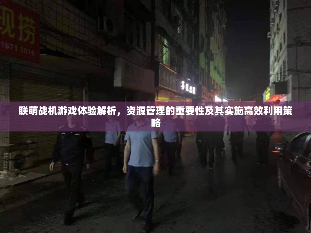 联萌战机游戏体验解析，资源管理的重要性及其实施高效利用策略