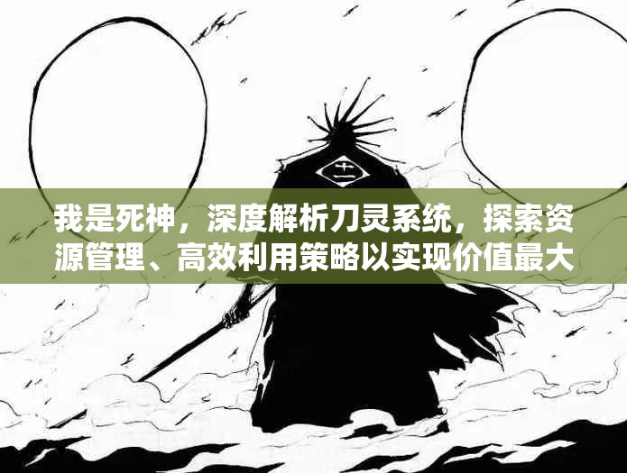 我是死神，深度解析刀灵系统，探索资源管理、高效利用策略以实现价值最大化