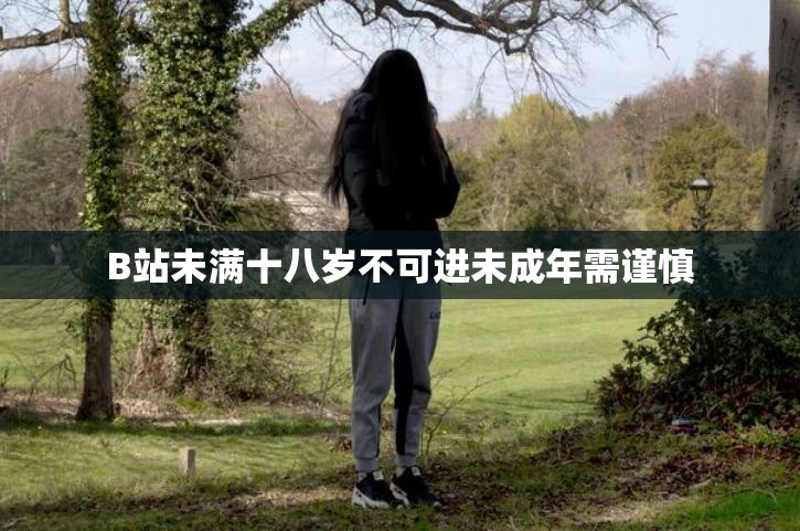B站未满十八岁不可进未成年需谨慎