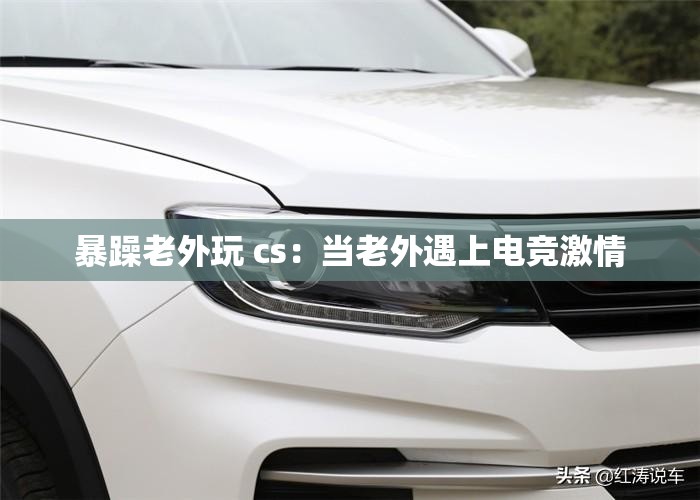 暴躁老外玩 cs：当老外遇上电竞激情