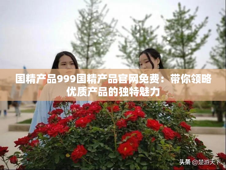 国精产品999国精产品官网免费：带你领略优质产品的独特魅力
