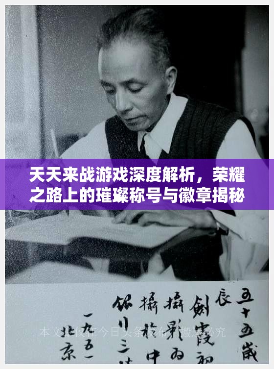 天天来战游戏深度解析，荣耀之路上的璀璨称号与徽章揭秘