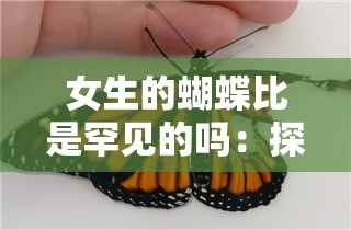 女生的蝴蝶比是罕见的吗：探究其稀有程度与原因