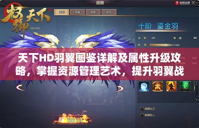 天下HD羽翼图鉴详解及属性升级攻略，掌握资源管理艺术，提升羽翼战力