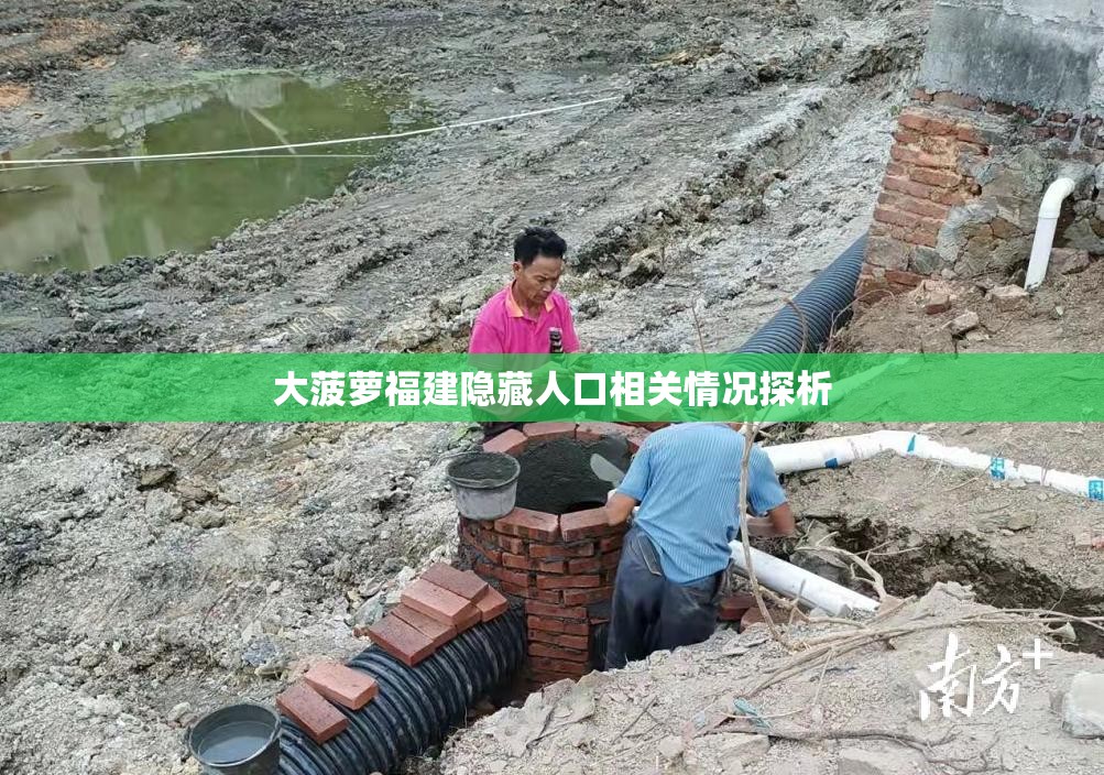 大菠萝福建隐藏人口相关情况探析