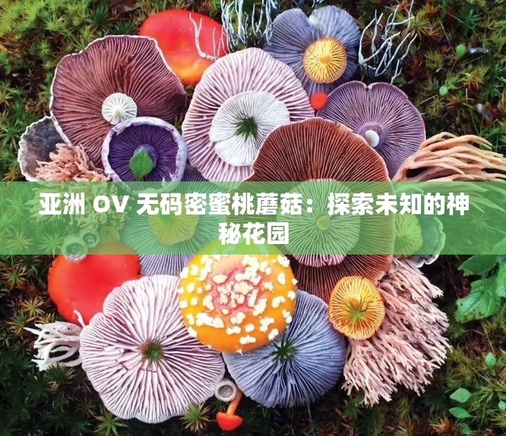 亚洲 OV 无码密蜜桃蘑菇：探索未知的神秘花园