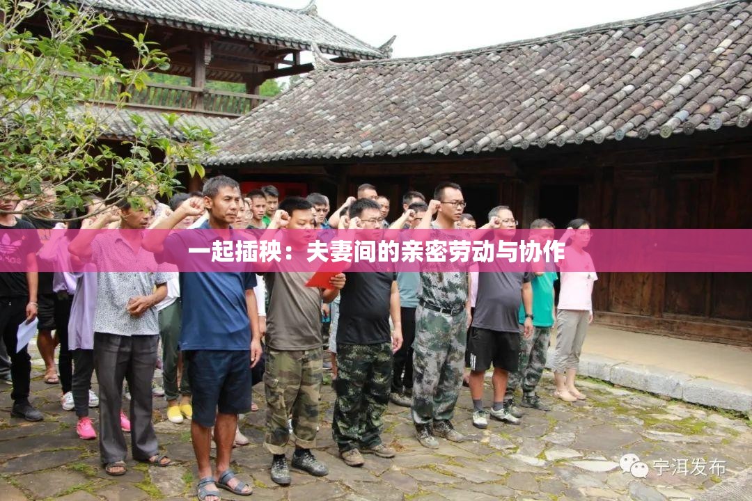 一起插秧：夫妻间的亲密劳动与协作