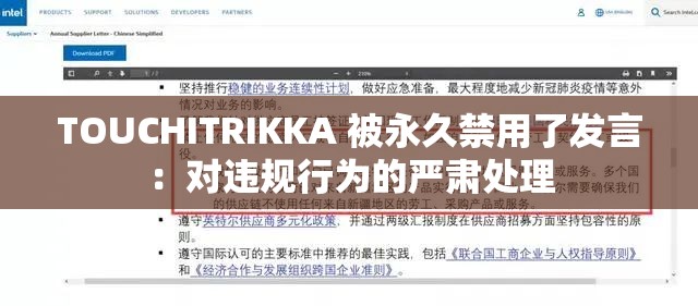 TOUCHITRIKKA 被永久禁用了发言：对违规行为的严肃处理