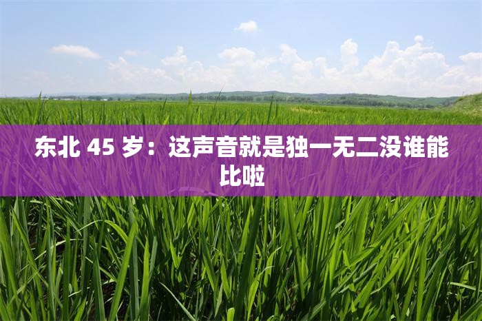 东北 45 岁：这声音就是独一无二没谁能比啦