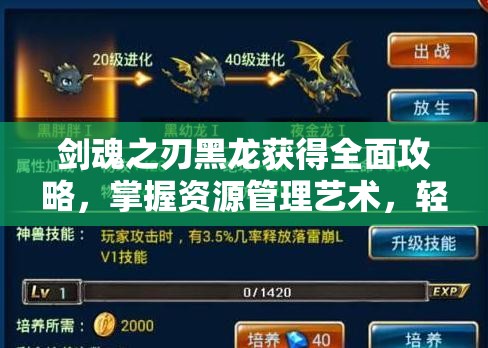 剑魂之刃黑龙获得全面攻略，掌握资源管理艺术，轻松解锁强力黑龙