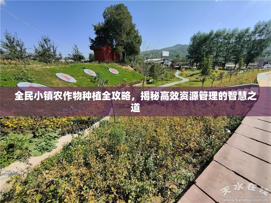 全民小镇农作物种植全攻略，揭秘高效资源管理的智慧之道
