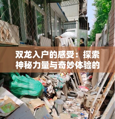 双龙入户的感受：探索神秘力量与奇妙体验的旅程