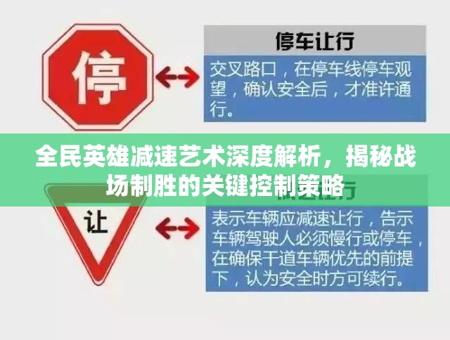全民英雄减速艺术深度解析，揭秘战场制胜的关键控制策略