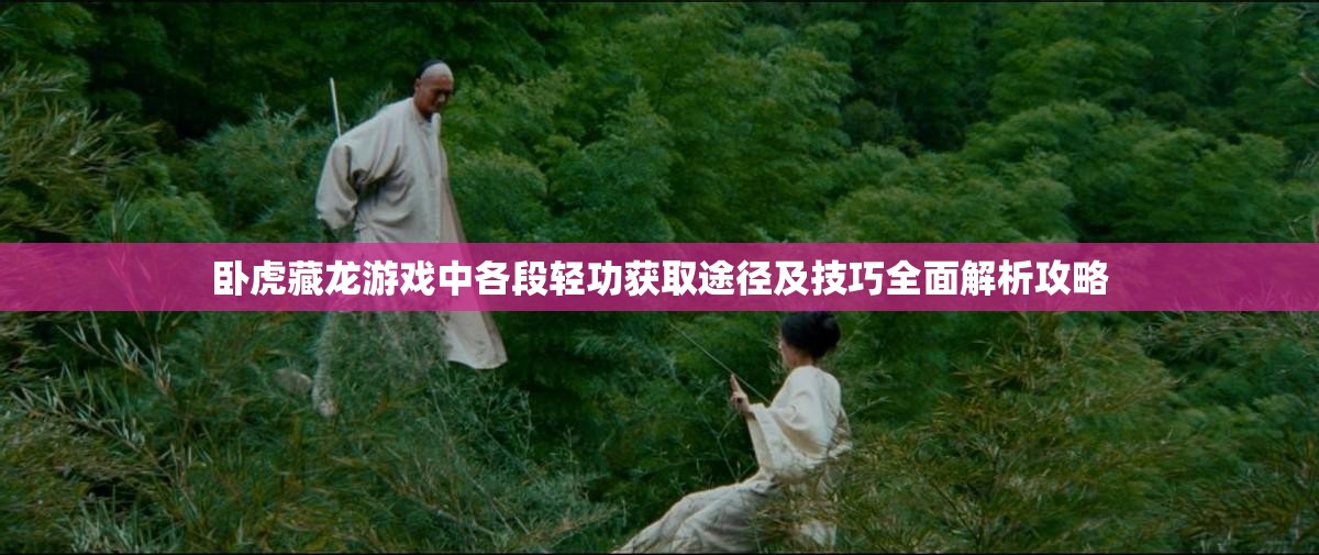 卧虎藏龙游戏中各段轻功获取途径及技巧全面解析攻略