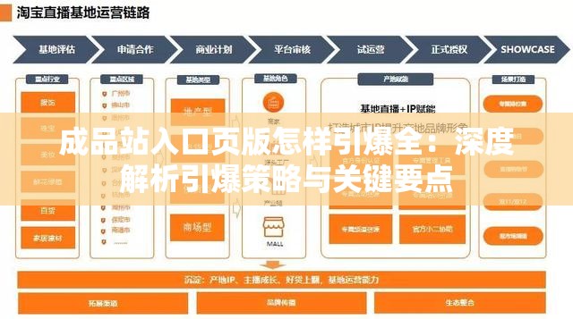 成品站入口页版怎样引爆全：深度解析引爆策略与关键要点