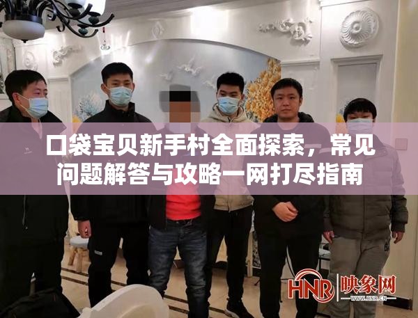 口袋宝贝新手村全面探索，常见问题解答与攻略一网打尽指南