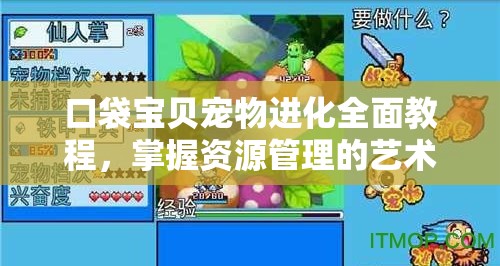 口袋宝贝宠物进化全面教程，掌握资源管理的艺术与策略