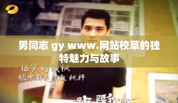 男同志 gy www.网站校草的独特魅力与故事
