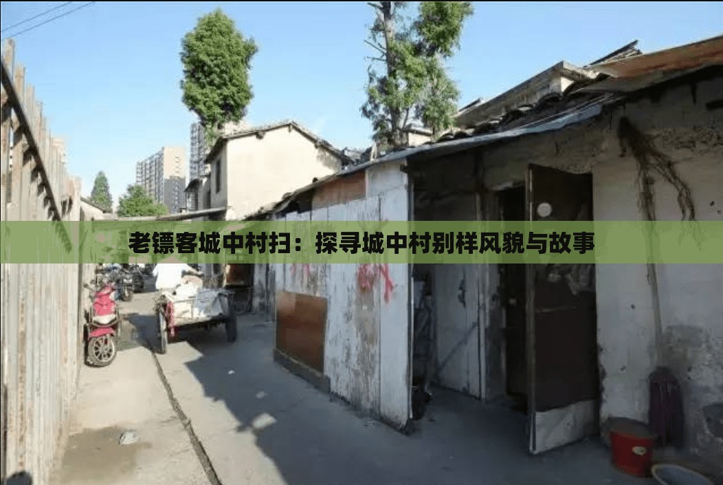 老镖客城中村扫：探寻城中村别样风貌与故事
