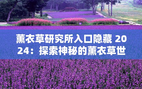 薰衣草研究所入口隐藏 2024：探索神秘的薰衣草世界