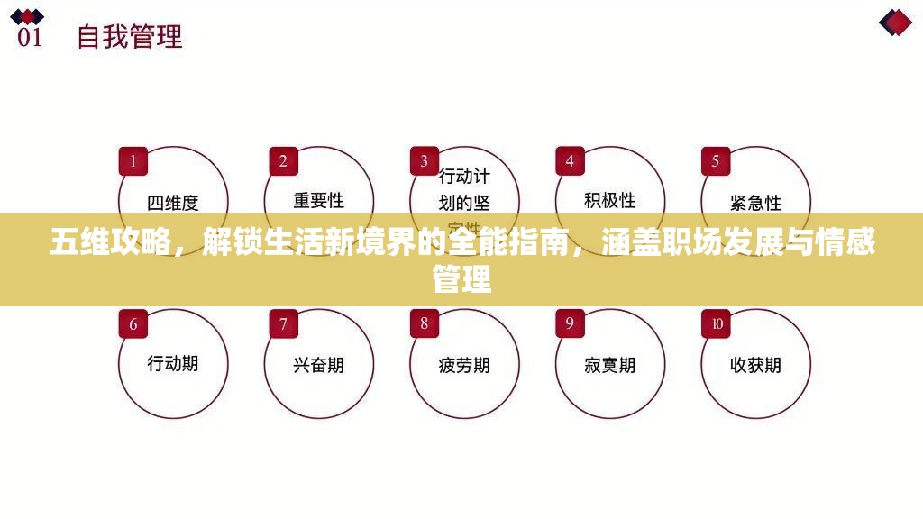 五维攻略，解锁生活新境界的全能指南，涵盖职场发展与情感管理