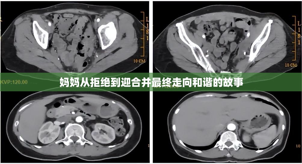 妈妈从拒绝到迎合并最终走向和谐的故事