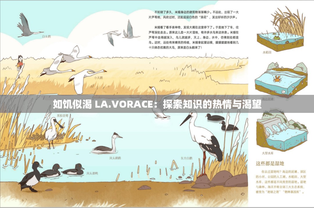 如饥似渴 LA.VORACE：探索知识的热情与渴望
