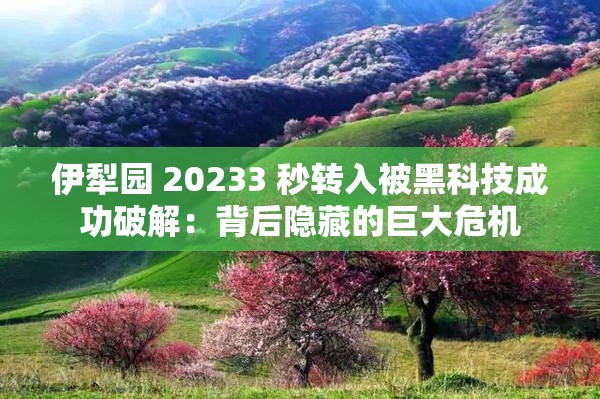 伊犁园 20233 秒转入被黑科技成功破解：背后隐藏的巨大危机
