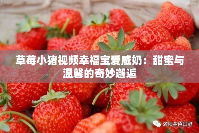 草莓小猪视频幸福宝爱威奶：甜蜜与温馨的奇妙邂逅