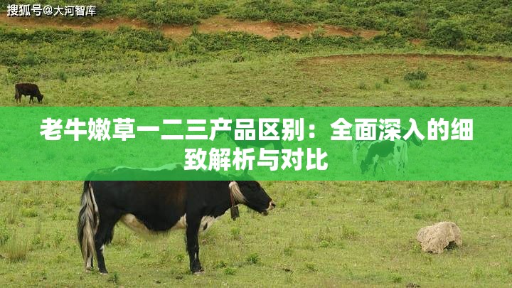 老牛嫩草一二三产品区别：全面深入的细致解析与对比