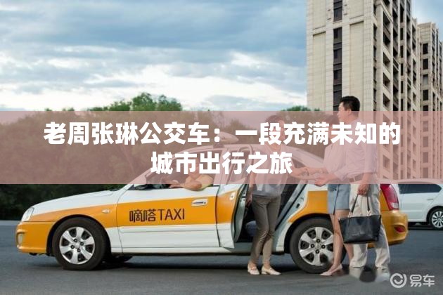 老周张琳公交车：一段充满未知的城市出行之旅