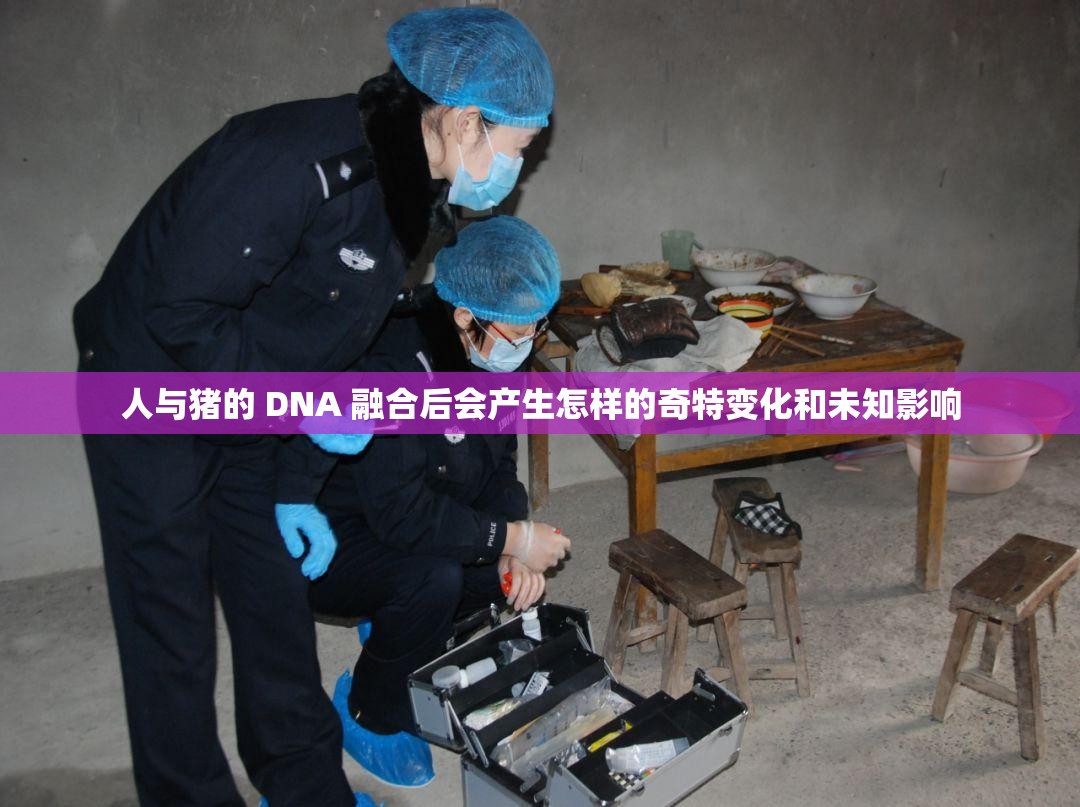 人与猪的 DNA 融合后会产生怎样的奇特变化和未知影响