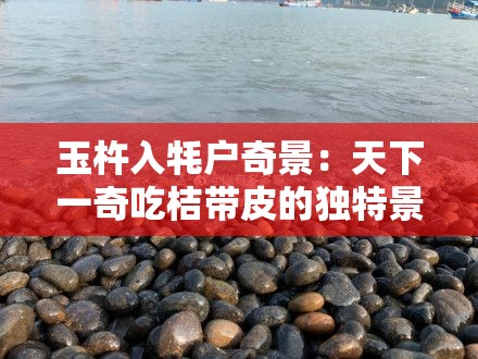 玉杵入牦户奇景：天下一奇吃桔带皮的独特景象