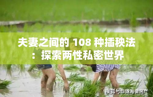 夫妻之间的 108 种插秧法：探索两性私密世界