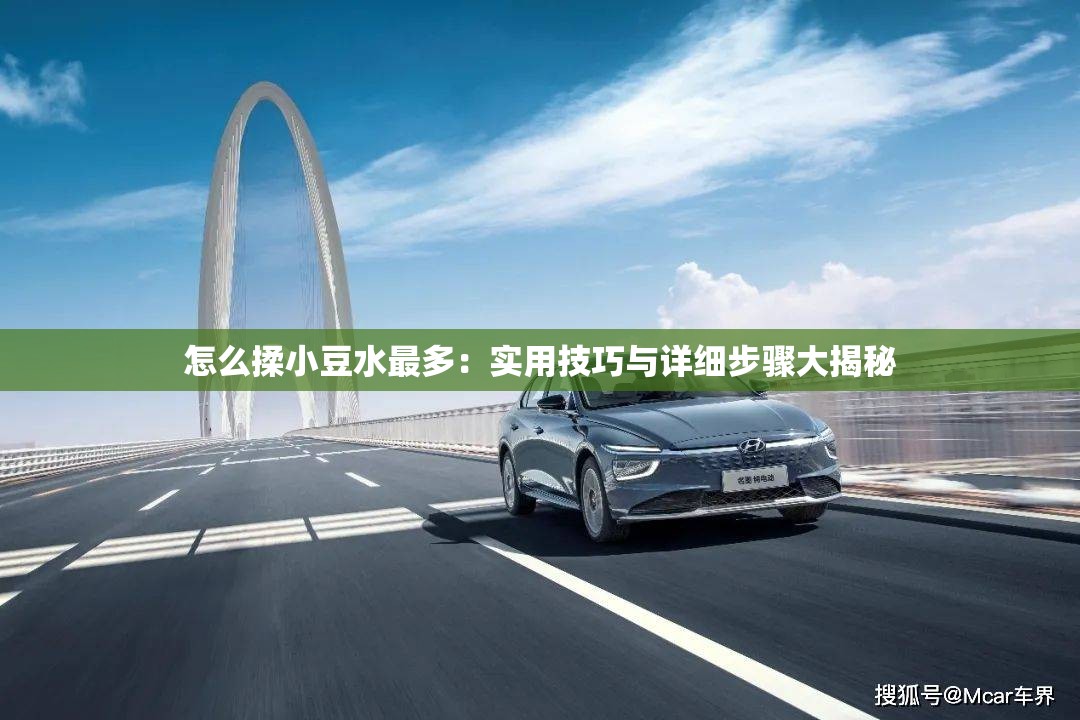 怎么揉小豆水最多：实用技巧与详细步骤大揭秘