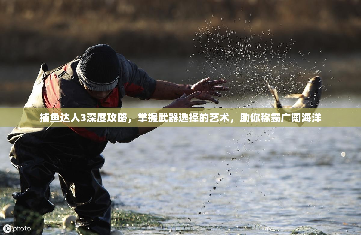 捕鱼达人3深度攻略，掌握武器选择的艺术，助你称霸广阔海洋