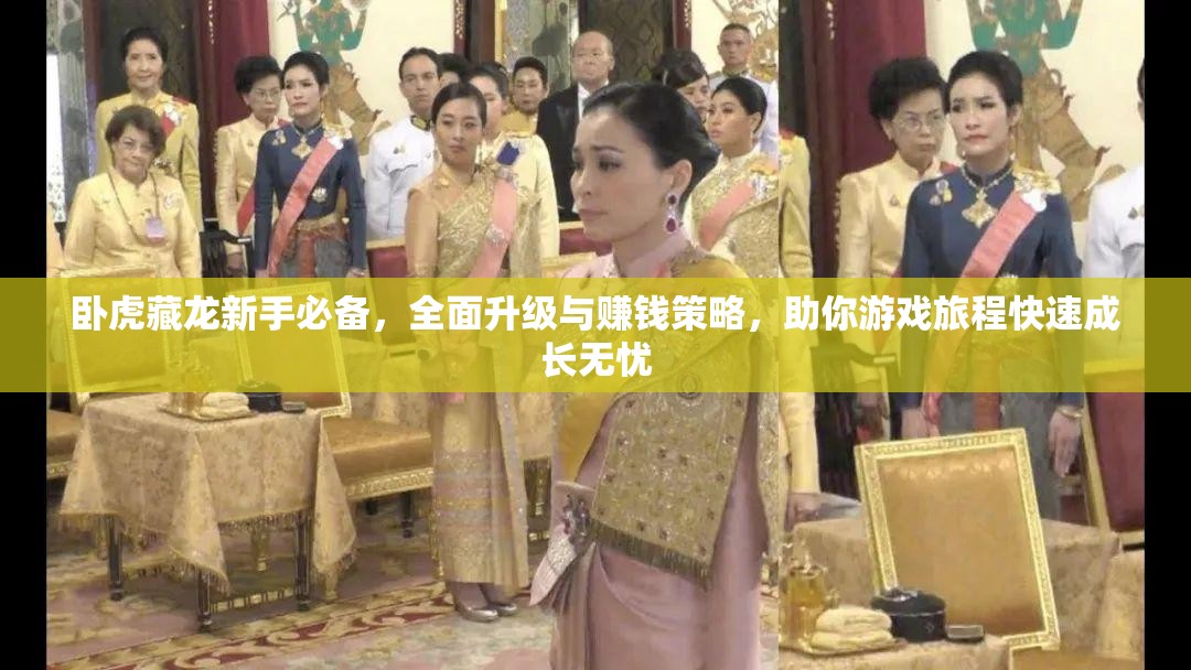 卧虎藏龙新手必备，全面升级与赚钱策略，助你游戏旅程快速成长无忧