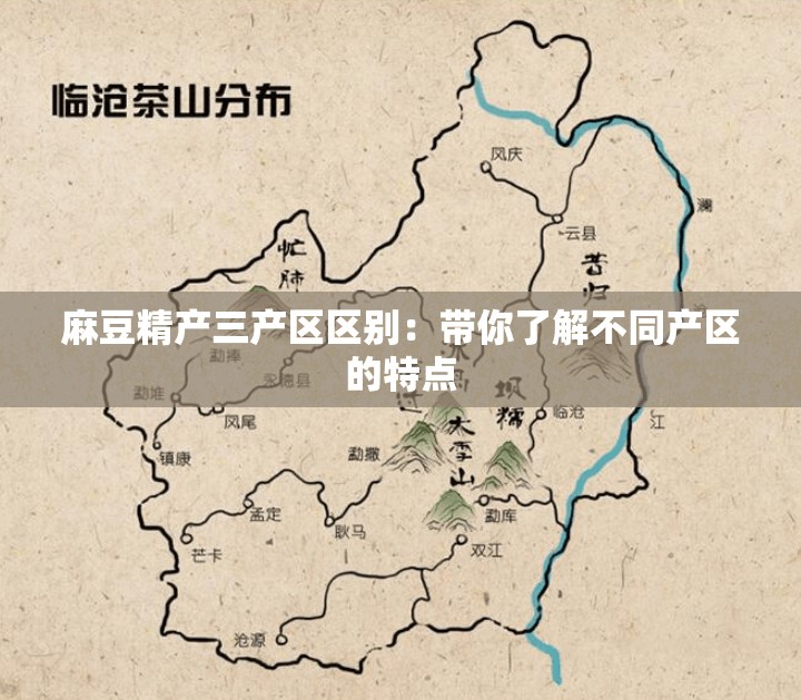 麻豆精产三产区区别：带你了解不同产区的特点