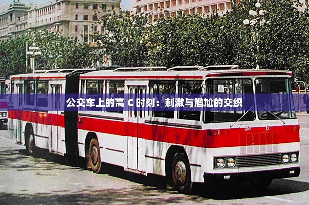 公交车上的高 C 时刻：刺激与尴尬的交织