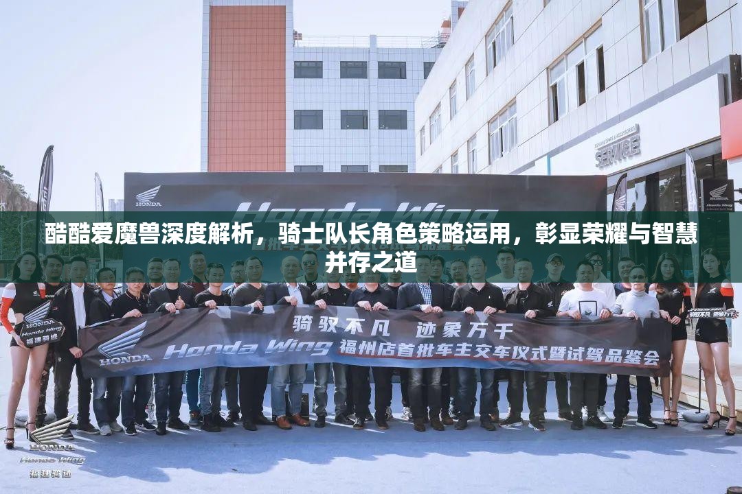 酷酷爱魔兽深度解析，骑士队长角色策略运用，彰显荣耀与智慧并存之道