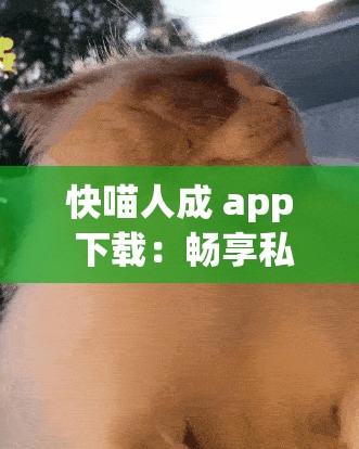 快喵人成 app 下载：畅享私密空间，尽在指尖