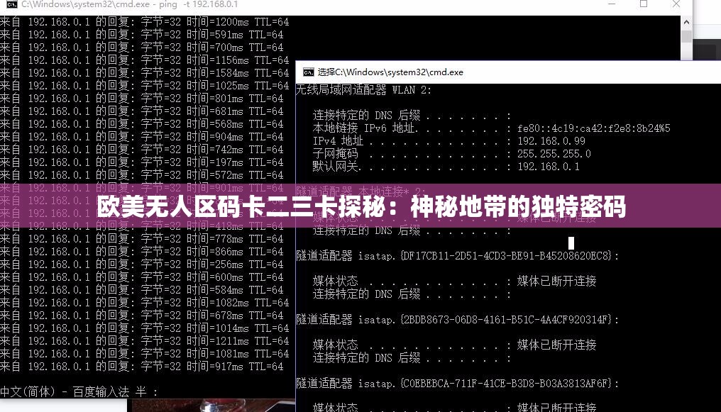 欧美无人区码卡二三卡探秘：神秘地带的独特密码
