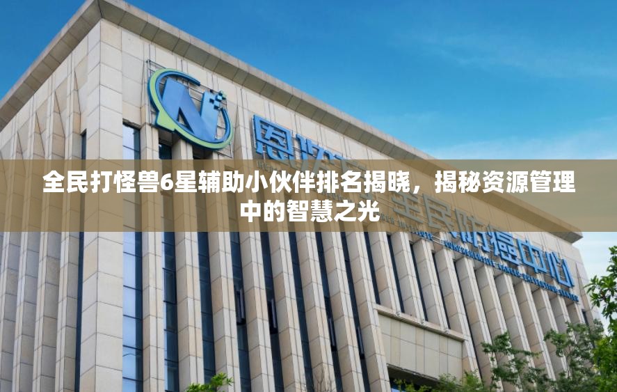 全民打怪兽6星辅助小伙伴排名揭晓，揭秘资源管理中的智慧之光